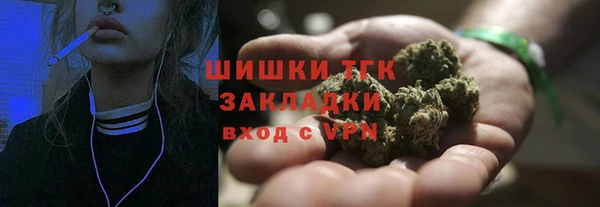 a pvp Бородино