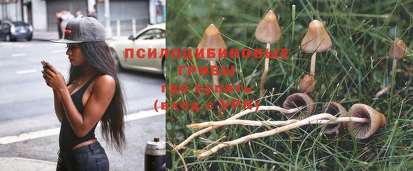спиды Бронницы