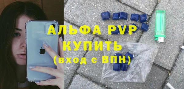 a pvp Бородино