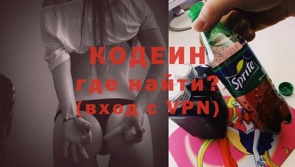 a pvp Бородино