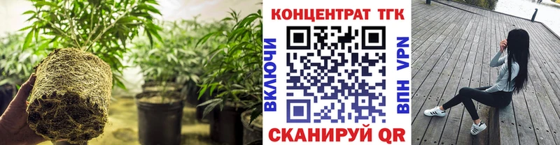 Дистиллят ТГК THC oil Озёрск